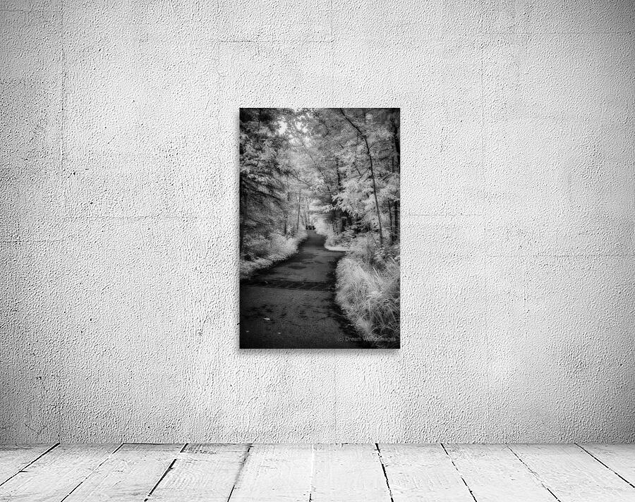 Path Through the Enchanted Forest Wall Preview