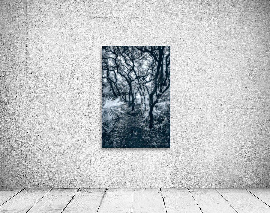 Enchanted Passage: Blue Dawn in the Oaks Wall Preview