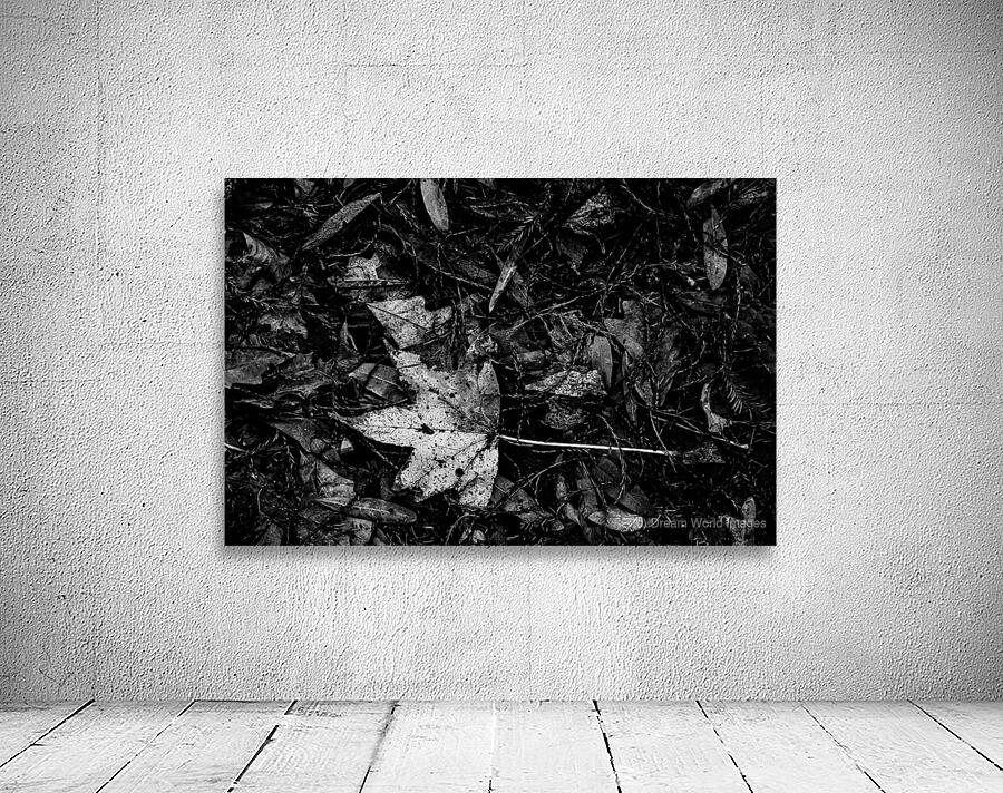 Relic in the Shadows Wall Preview