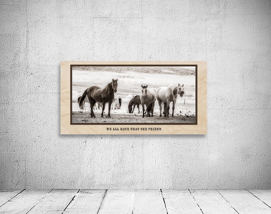 Wild Bonds  We All Have That One Friend Wall Preview