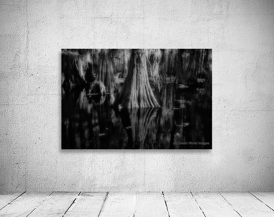 Rooted in Stillness Wall Preview