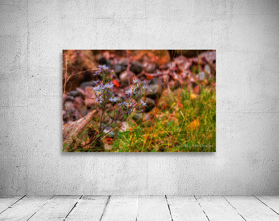 Autumns Last Dance Wall Preview