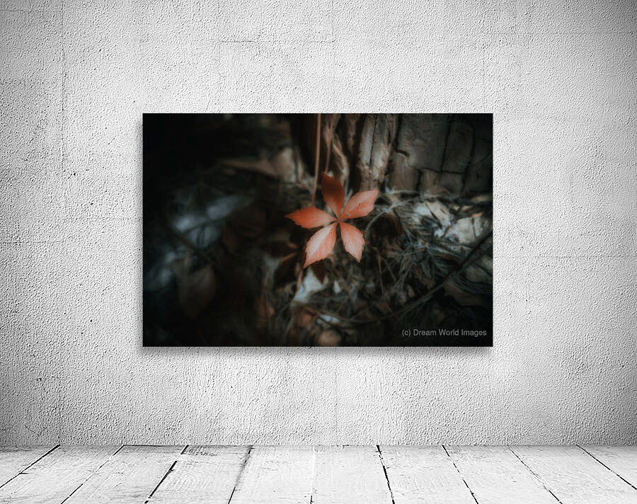 Leaf Holding the Shadow Wall Preview