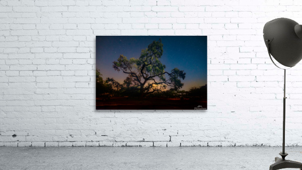 Lighting the Night Wall Preview