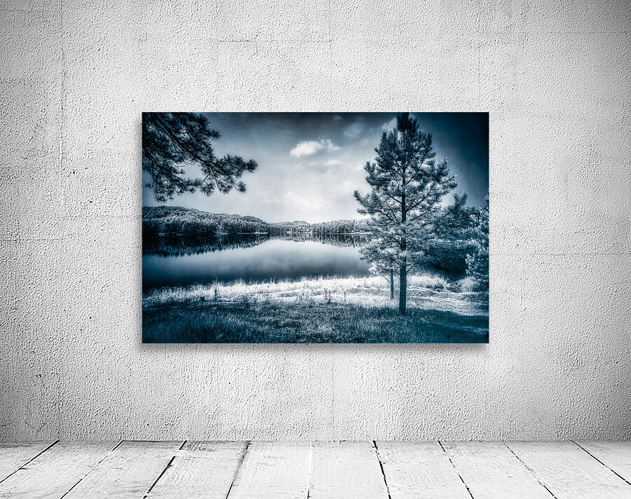 Whispers of Enchantment: The Pine Tree Guardian of the Lakes Edge Wall Preview