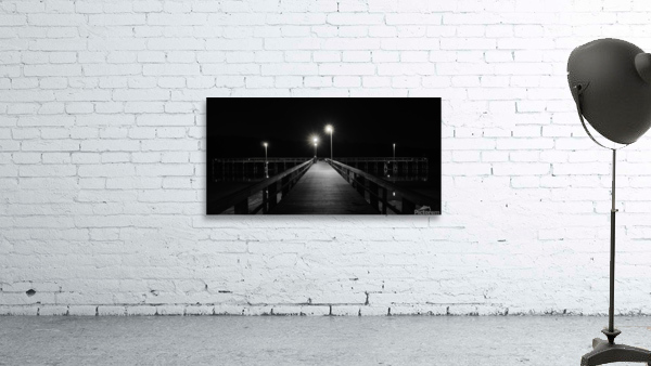 Night Fish Wall Preview