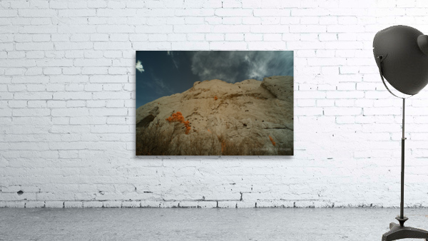 Orange Mountain Tree Wall Preview