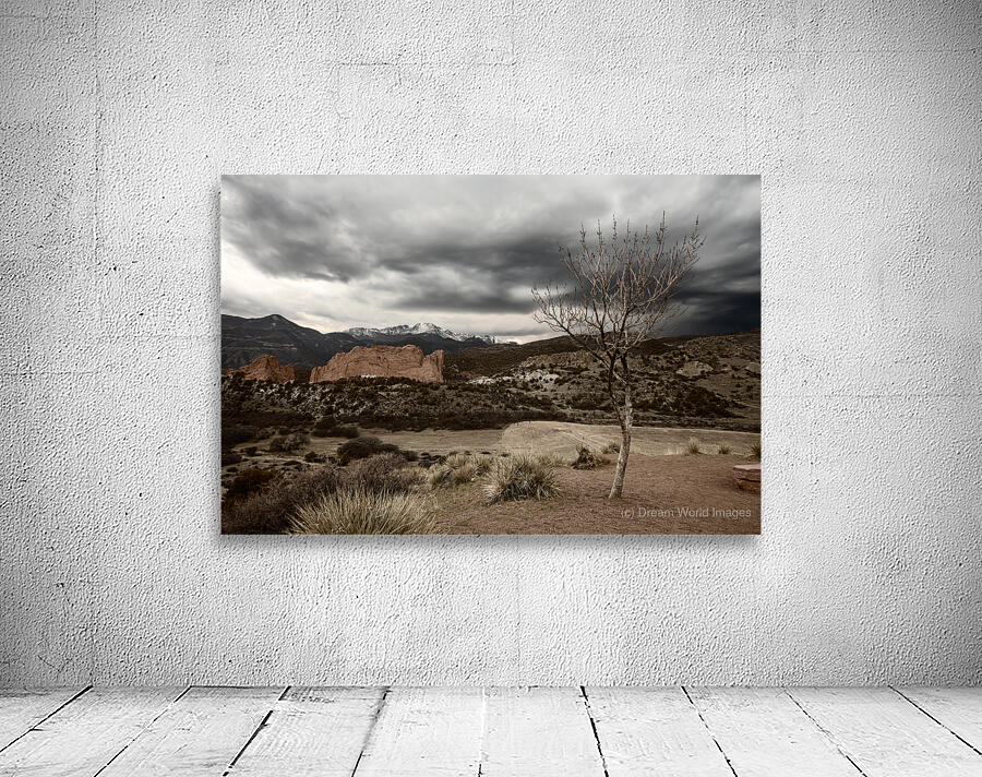 Lonely Mountain Tree Wall Preview