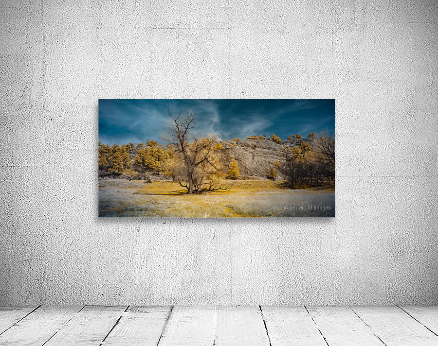 A Tranquil Escape: Red Rock Canyon Open Space in Golden Infrared Splendor Wall Preview
