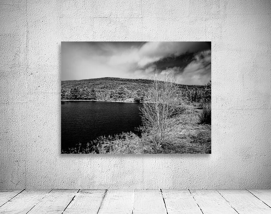 Majestic Tranquility: Sprague Lake Serenity Wall Preview