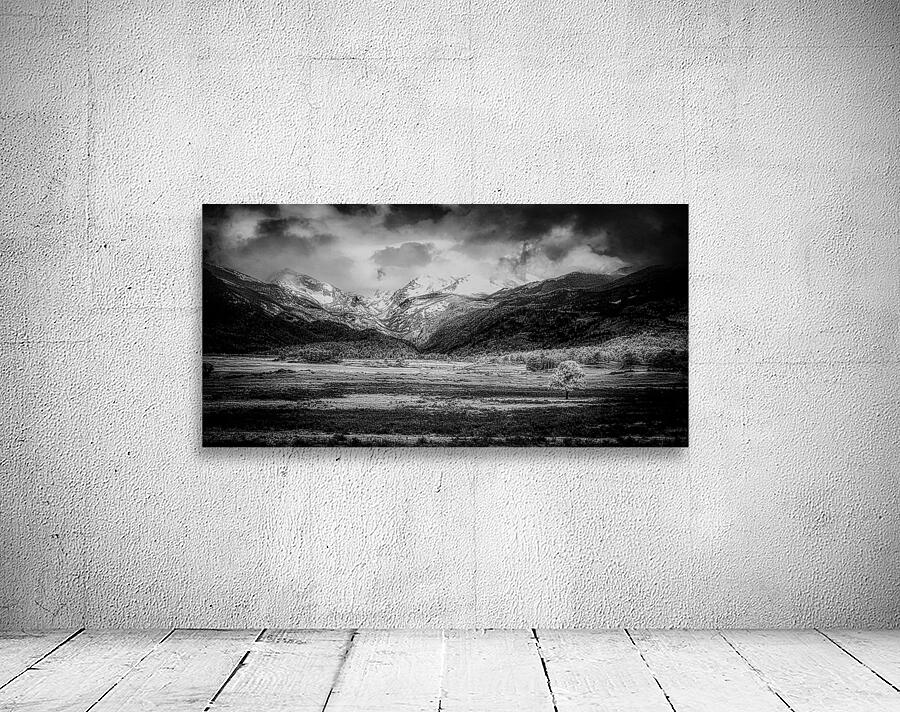 Mountains Embrace: Lone Valley Tree Wall Preview