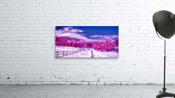 Chautauqua Chronicles: Pink Path Wall Preview