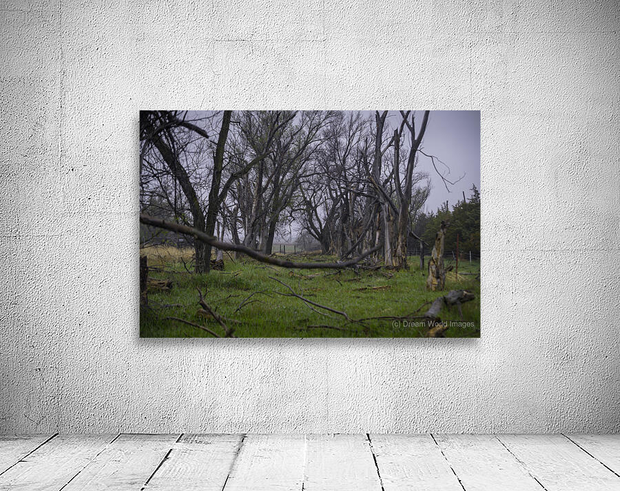 Nebraska Farm - 23 Wall Preview