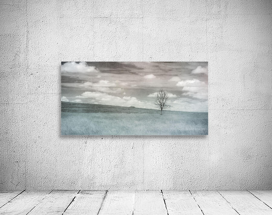 Nebraska Lone Tree - 2 Wall Preview