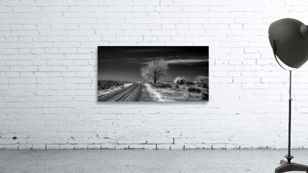 Ethereal Encounters: A Monochrome Journey Through Dawson New Mexico Wall Preview