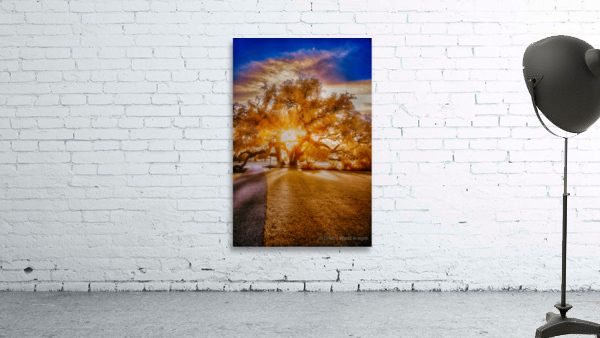 Majestic Reverie: Jekyll Islands Sunset Symphony Through the Grand Oak Wall Preview