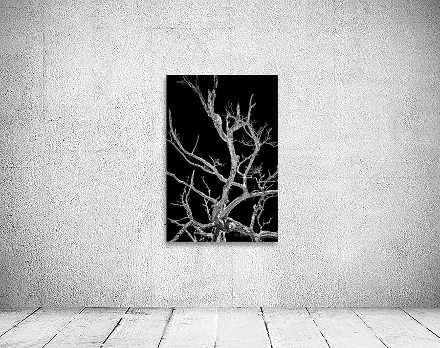 Glowing Tree Wall Preview