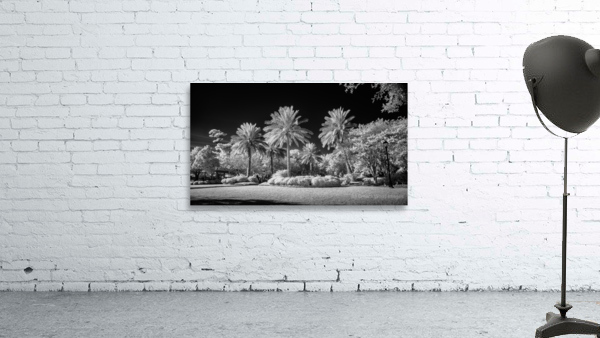 Saint Marys Park Wall Preview