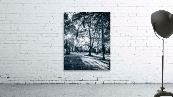 Cold Park Wall Preview