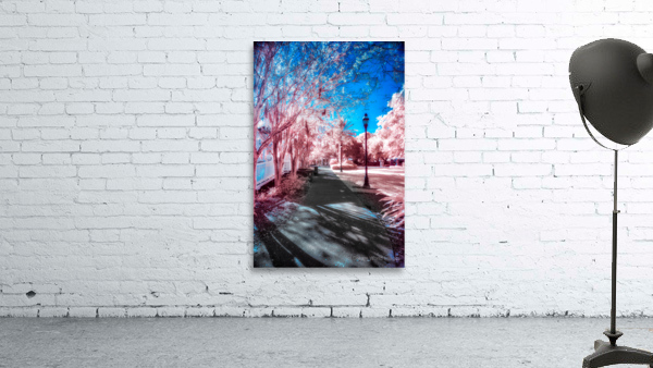 Pink Park Wall Preview