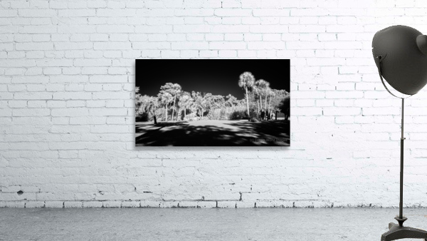 Lighted Center Wall Preview