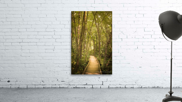 Pathway to Woodland Dreams Wall Preview
