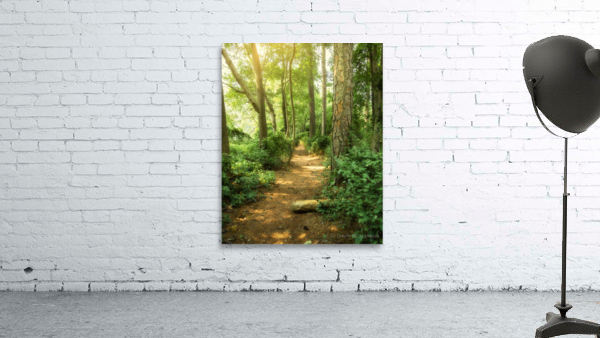 Whispers Along the Sunlit Path Wall Preview