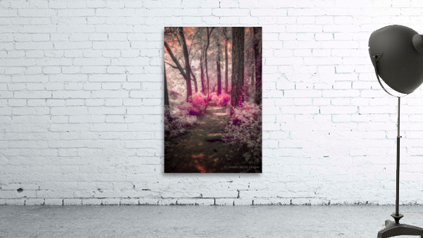 Blushing Path Wall Preview