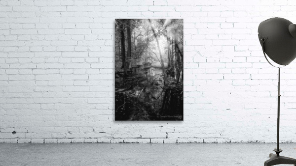 Killens Swamp Wall Preview