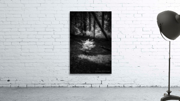 Lighted Wall Preview