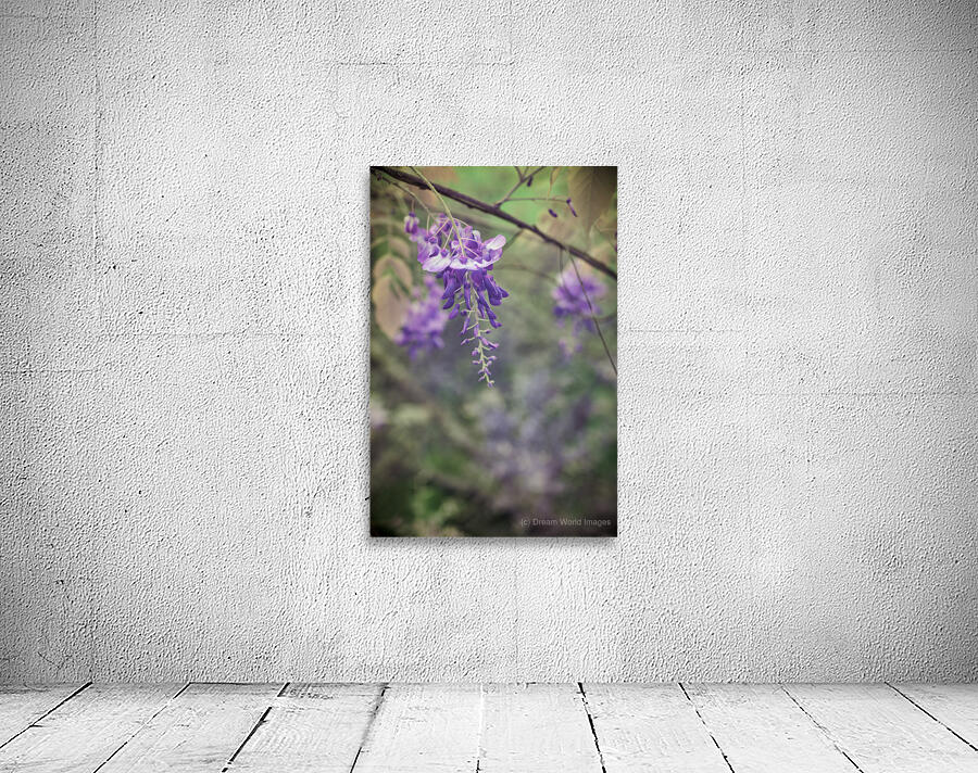 Full Spectrum Flowers Wall Preview