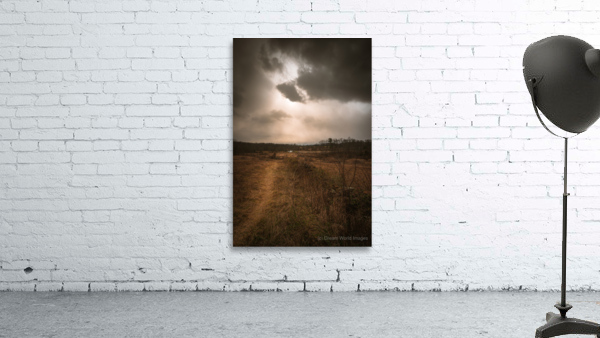 Hazel Row Wall Preview