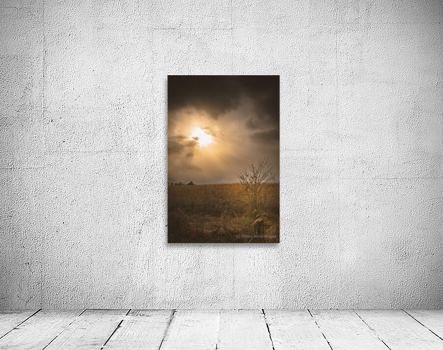 Golden Light Revelation Wall Preview