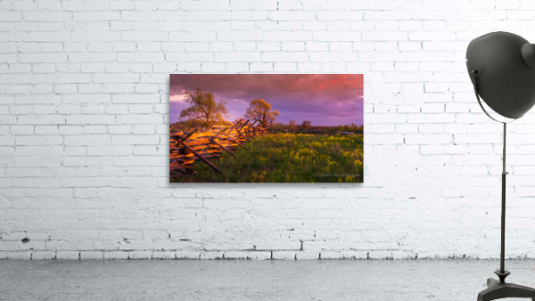 Sunset Fence Wall Preview