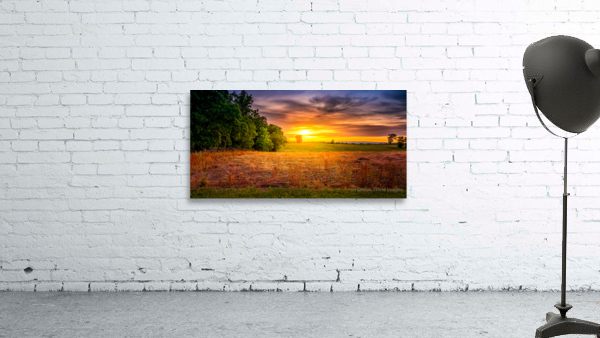 Herps woods Sunset Wall Preview