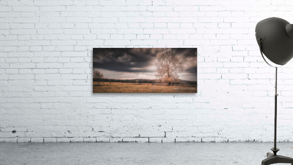 Lone Tree Storm Wall Preview