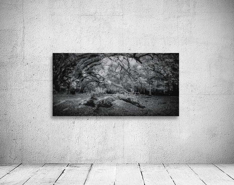 Wooden Nellie Wall Preview