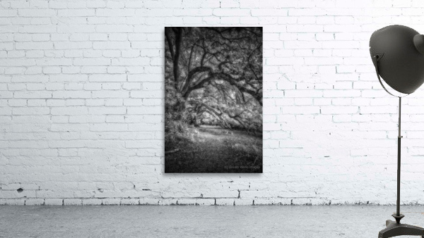 Whispers in the Grove Wall Preview