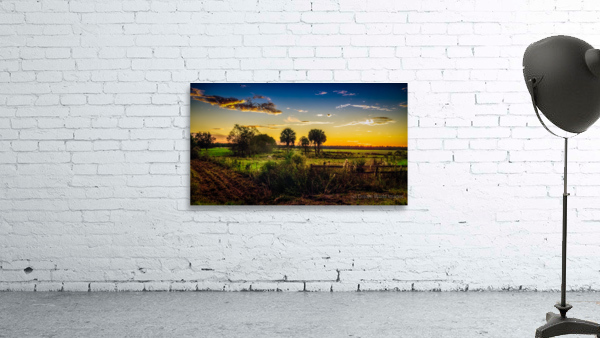 Rural Florida Sunset Wall Preview