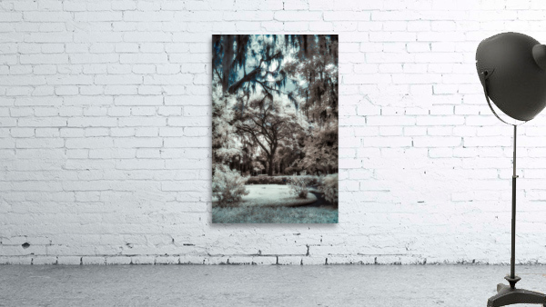 Otherworldly Wall Preview