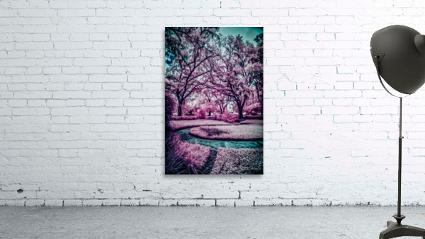 Whispers of Wonder: Navigating the Mystical Labyrinth in Shalom Park Ocala Florida Wall Preview