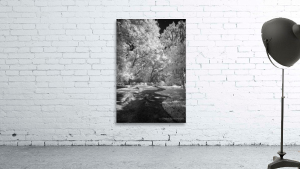 Infrared Pathway Wall Preview