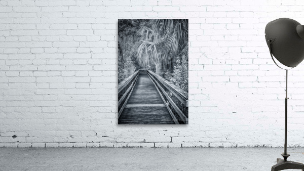 Selenium Boardwalk Wall Preview