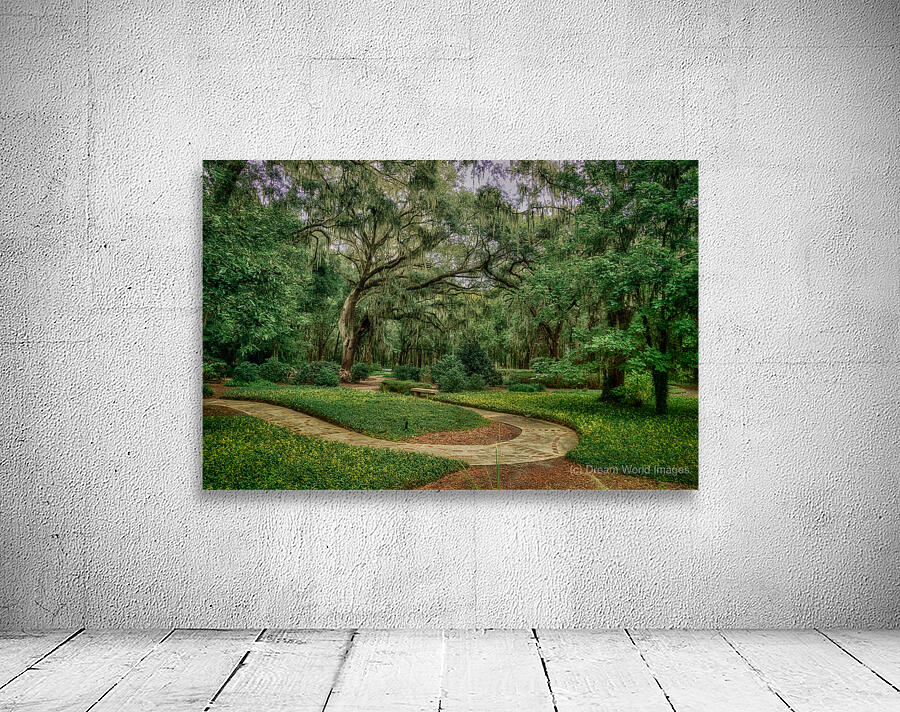 Path Curve Wall Preview