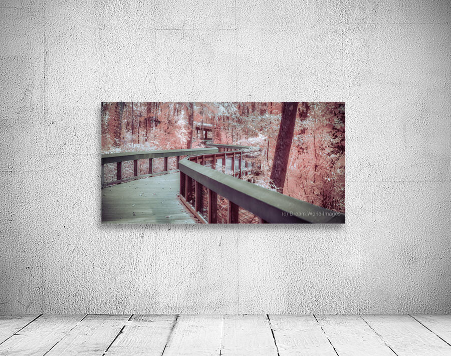 Winding Dreams Boardwalk Wall Preview