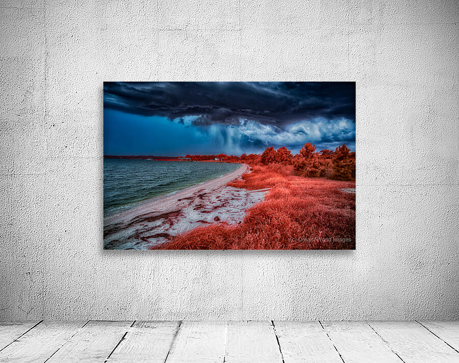 Summer Adventures at Brooms Island Marina: Colorful Beach Storm Wall Preview