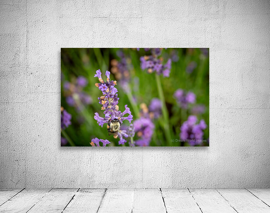 Happy Bee Wall Preview