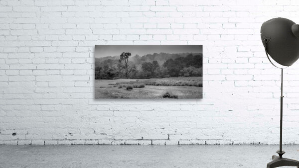 Morning Mist Valley Wall Preview