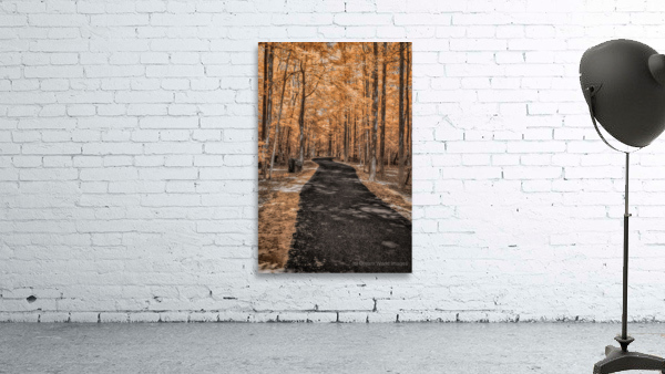 Golden Path Wall Preview