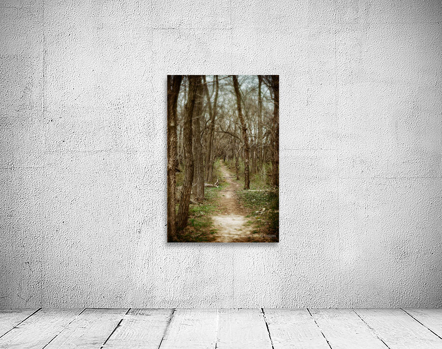 Woodlands Ancient Path Wall Preview